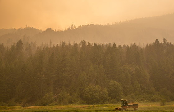 2015.. اسوأ عام بتاريخ الحرائق في ولاية واشنطن صورة رقم 9