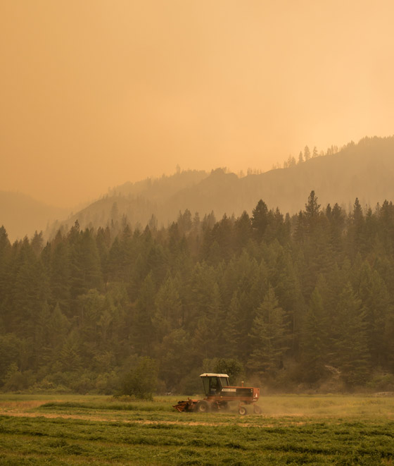 2015.. اسوأ عام بتاريخ الحرائق في ولاية واشنطن صورة رقم 10