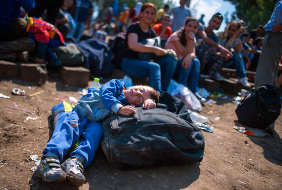 ابواب اوروبا تستقبل لاجئي سوريا الهاربين من جحيم داعش صورة رقم 13