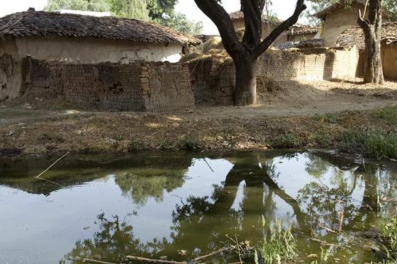  الحكم بخلع الملابسة فتاتين واغتصابهما علنا بقرية هندية والمذنب شقيقهما صورة رقم 4