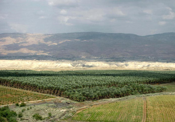 اسرائيل تتعامل مع مستوطني الاغوار بقفازات من تعويض!! صورة رقم 1