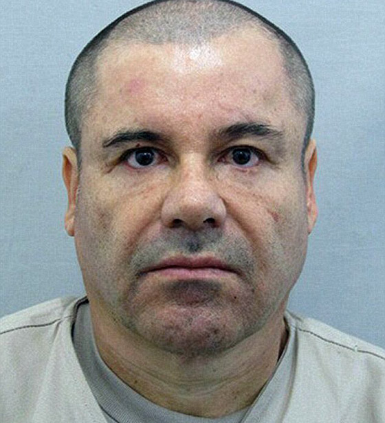 المكسيك: ضبط مدافع وسيارات فاخرة في مقر امبراطور المخدرات صورة رقم 6