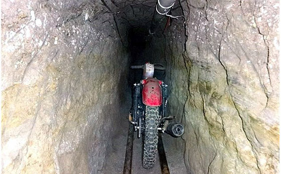 المكسيك: ضبط مدافع وسيارات فاخرة في مقر امبراطور المخدرات صورة رقم 7