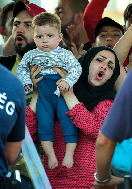 محطة بودابست تشهد فوضى عارمة.. لاجئون يقتحمون قطارا فارغا صورة رقم 7 محطة بودابست تشهد فوضى عارمة.. لاجئون يقتحمون قطارا فارغا صورة رقم 7