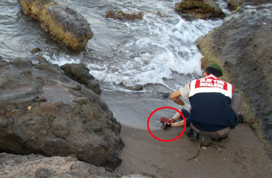 صغار المشككين في أعظم مأساة ينشرون صورة للطفل الغريق وهو يلعب صورة رقم 13 صغار المشككين في أعظم مأساة ينشرون صورة للطفل الغريق وهو يلعب صورة رقم 13