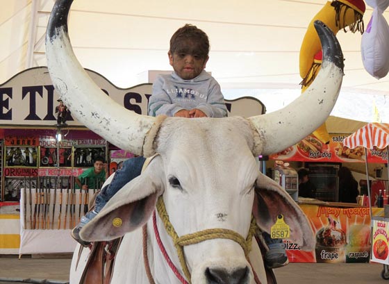 بالصور.. عائلة الذئاب في المكسيك 31 فردا يغطيهم الشعر الكثيف صورة رقم 23