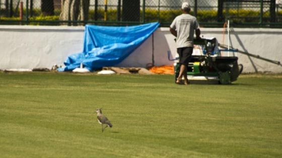 بستاني يتسبب باخلاء مقر بلدية فرنسية بعد عثوره على قنبلة!!  صورة رقم 1