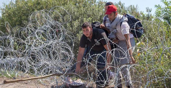 خارطة اللجوء.. من اين هاجروا؟ اين هم؟ وما هي وجهتهم النهائية؟ صورة رقم 2