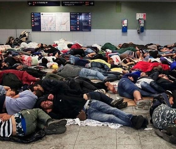 خارطة اللجوء.. من اين هاجروا؟ اين هم؟ وما هي وجهتهم النهائية؟ صورة رقم 10