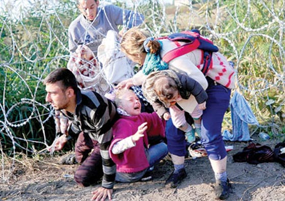 خارطة اللجوء.. من اين هاجروا؟ اين هم؟ وما هي وجهتهم النهائية؟ صورة رقم 11