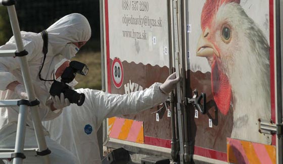 اكثر الصور تاثيرا من ازمة اللاجئين السوريين في البلاد الاوروبية.. شاهدها صورة رقم 1