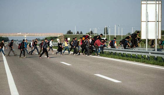اكثر الصور تاثيرا من ازمة اللاجئين السوريين في البلاد الاوروبية.. شاهدها صورة رقم 13