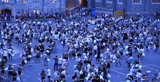 معركة الوسائد الامريكية تتحول الى حرب دموية شرسة صورة رقم 6