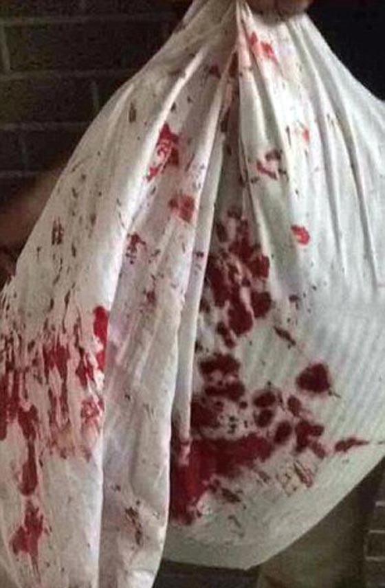 معركة الوسائد الامريكية تتحول الى حرب دموية شرسة صورة رقم 1