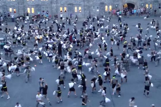 معركة الوسائد الامريكية تتحول الى حرب دموية شرسة صورة رقم 10