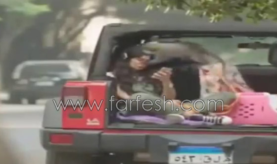 تامر حسني ينشر فيديو غادة عادل تقفز صارخة من قرد هاجمها في فيلم اهواك صورة رقم 2