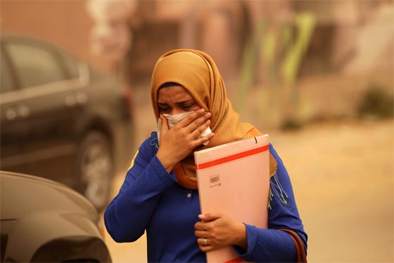 الشرق الاوسط يغرق في عاصفة ترابية.. وهذه هي آثارها المدمرة صورة رقم 17