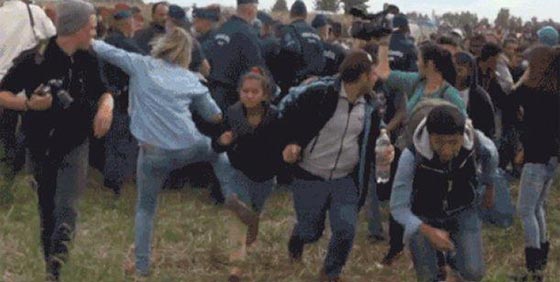 فيديو صادم.. صحفية مجرية تعرقل لاجئا سوريا اثناء فراره من الشرطة صورة رقم 2