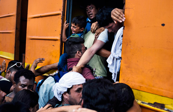 لاجئون يتعرضون للضرب بالهراوات بعد رحلة عذاب الى مقدونيا صورة رقم 11 لاجئون يتعرضون للضرب بالهراوات بعد رحلة عذاب الى مقدونيا صورة رقم 11