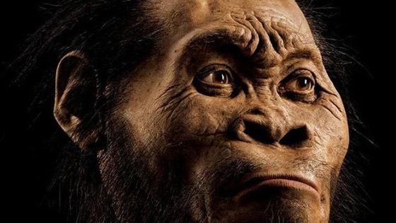 اكتشاف سلالة بشرية سبقت الانسان ولا علاقة لها بالنوع البشري اليوم صورة رقم 1