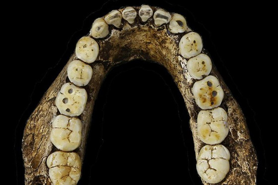 اكتشاف سلالة بشرية سبقت الانسان ولا علاقة لها بالنوع البشري اليوم صورة رقم 2