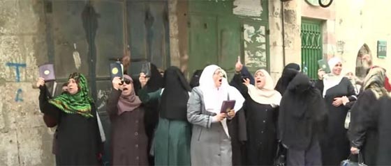 جيش اسرائيل يهاجم المسجد الاقصى ويوقع عشرات الاصابات بين المصلين صورة رقم 5