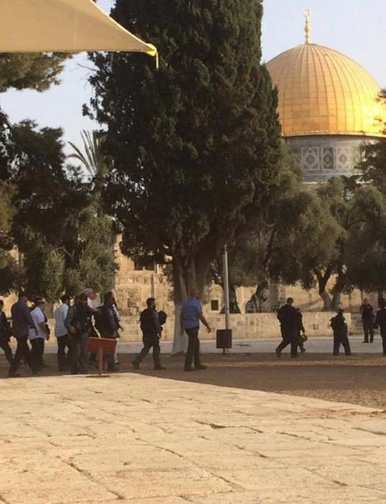 جيش اسرائيل يهاجم المسجد الاقصى ويوقع عشرات الاصابات بين المصلين صورة رقم 4