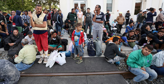 دخول 1300 مهاجر من كرواتيا الى صربيا بعد صدامات عنيفة صورة رقم 16