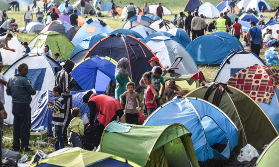 دخول 1300 مهاجر من كرواتيا الى صربيا بعد صدامات عنيفة صورة رقم 26