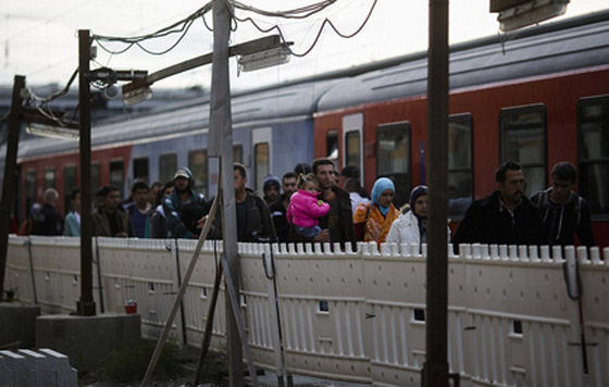 دخول 1300 مهاجر من كرواتيا الى صربيا بعد صدامات عنيفة صورة رقم 3