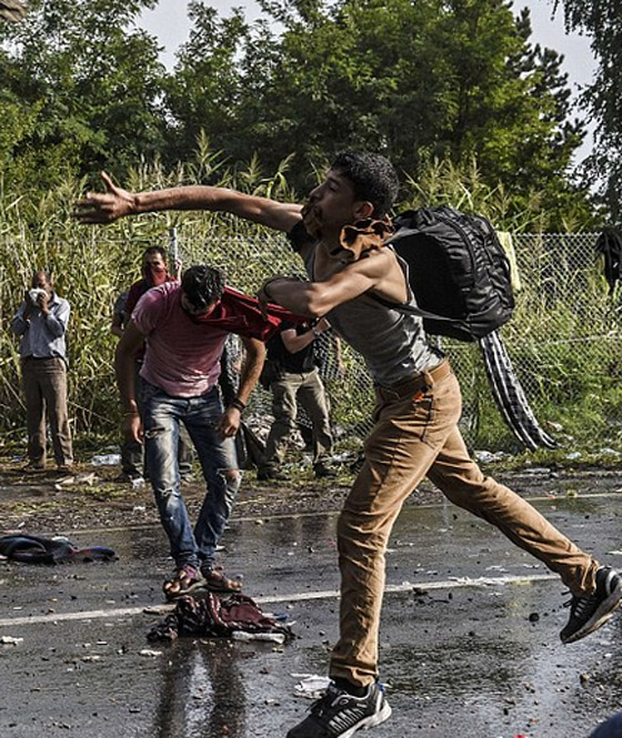 دخول 1300 مهاجر من كرواتيا الى صربيا بعد صدامات عنيفة صورة رقم 4