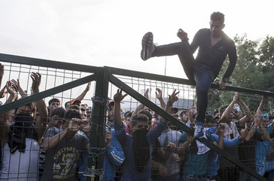 دخول 1300 مهاجر من كرواتيا الى صربيا بعد صدامات عنيفة صورة رقم 12