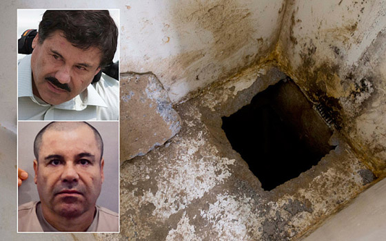 اعتقال 13 مشتبها بمساعدة زعيم اخطر عصابة مخدرات بالمكسيك صورة رقم 3 اعتقال 13 مشتبها بمساعدة زعيم اخطر عصابة مخدرات بالمكسيك صورة رقم 3