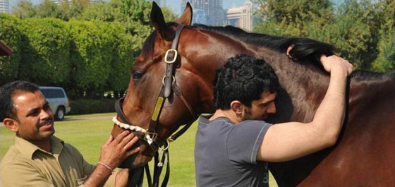 رحيل ابن حاكم دبي يبكيه كلاما.. دمعا وشعرا  صورة رقم 5