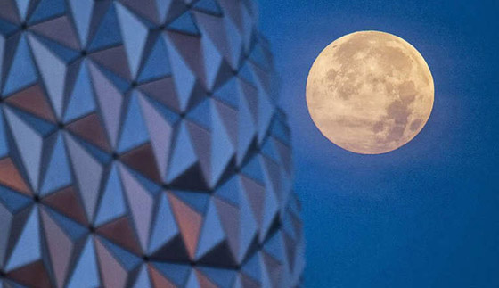 القمر العملاق يطرق ابواب سمائنا اواخر ايلول الجاري.. انتظروه  صورة رقم 6