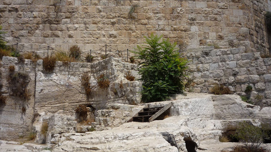 خاتم داود.. تحفة فريدة تضعها الحفريات بين يدي طفل روسي صورة رقم 1