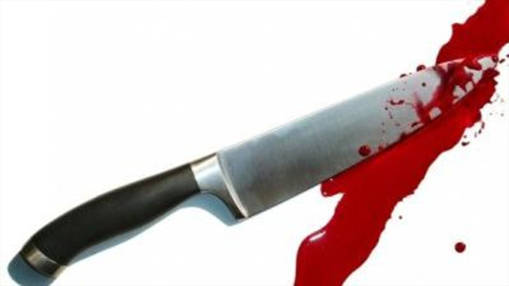 العثور على والدة سفير مصري وشقيقه مذبوحين داخل شقتهما في القاهرة صورة رقم 1