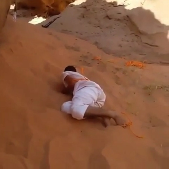 فيديو مؤلم.. قتل داعشي لابن عمه اليتيم يهز السعودية في اول ايام العيد صورة رقم 2