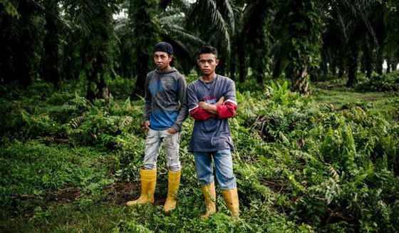 صور الفقر الحقيقي في العالم.. حملة مثيرة حافلة بالاكشن صورة رقم 7