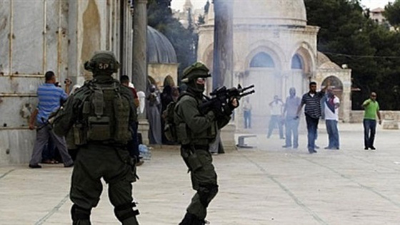 اسرائيل تضيق الحناق على راشقي الحجارة وتحاصرهم بالرصاص الحي صورة رقم 4