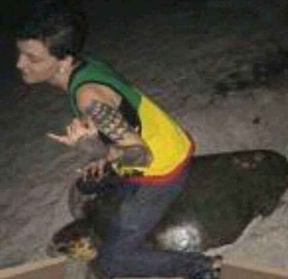 انصاف سلحفاة بحرية لا حول لها من شابة ظالمة صورة رقم 1