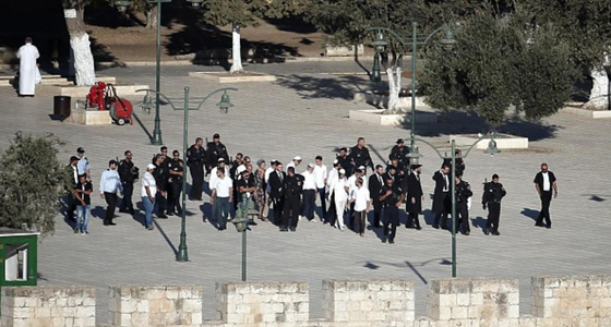 مستوطنو اسرائيل يقتحمون الاقصى مجددا.. بحماية جيشها صورة رقم 1