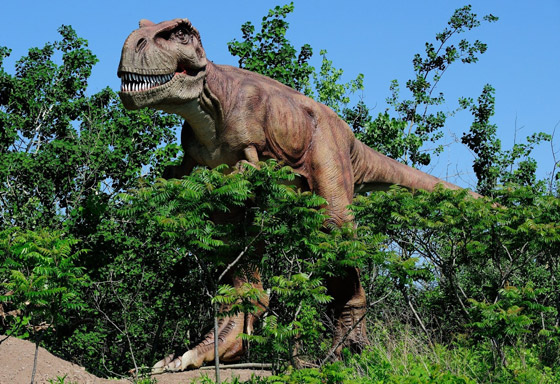 اصطدام كويكب بالارض أعقبه ثوران بركاني قضى على الديناصورات صورة رقم 4 اصطدام كويكب بالارض أعقبه ثوران بركاني قضى على الديناصورات صورة رقم 4