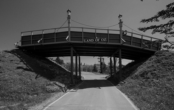 صور اجمل حديقة ملاهي مهجورة في العالم تسكنها الاشباح ويملأها الرعب صورة رقم 2