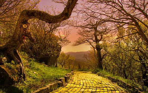 صور اجمل حديقة ملاهي مهجورة في العالم تسكنها الاشباح ويملأها الرعب صورة رقم 3