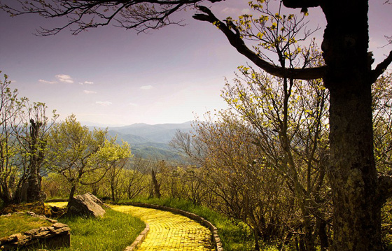 صور اجمل حديقة ملاهي مهجورة في العالم تسكنها الاشباح ويملأها الرعب صورة رقم 4