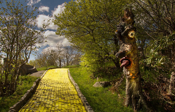 صور اجمل حديقة ملاهي مهجورة في العالم تسكنها الاشباح ويملأها الرعب صورة رقم 1