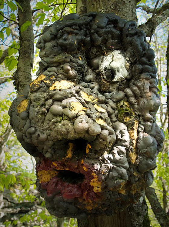 صور اجمل حديقة ملاهي مهجورة في العالم تسكنها الاشباح ويملأها الرعب صورة رقم 5