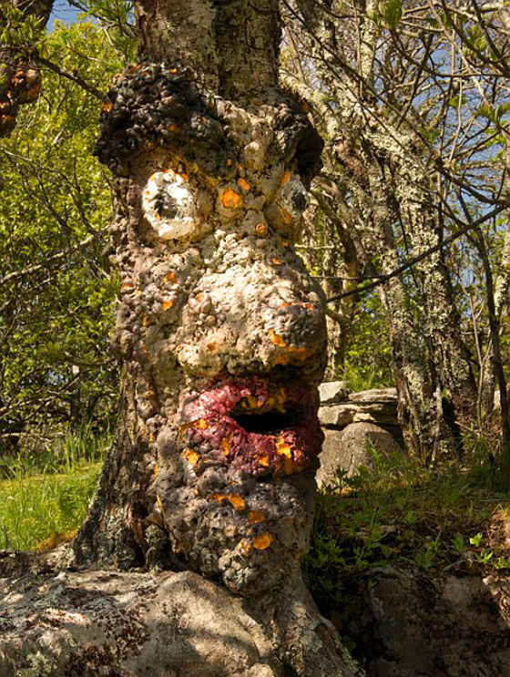 صور اجمل حديقة ملاهي مهجورة في العالم تسكنها الاشباح ويملأها الرعب صورة رقم 6