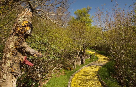 صور اجمل حديقة ملاهي مهجورة في العالم تسكنها الاشباح ويملأها الرعب صورة رقم 7